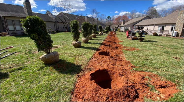 Landscaping